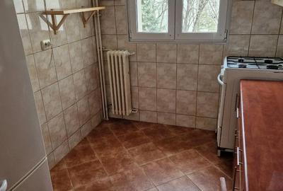 Apartament cu 4 camere semidecomandat în Nicolae Grigorescu - 8