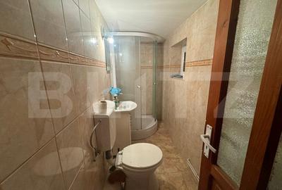 Casa spatioasa si curte proprie Nufarul aproape de Lotus mall - 15