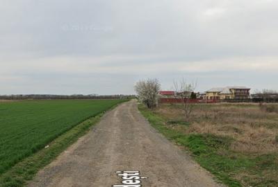 Spațiu comercial, în Pădurișu - 3