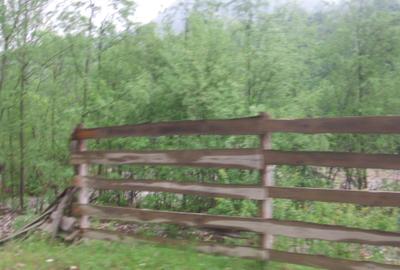 Teren intravilan situat in Traiteni,Valea Doftanei - 3