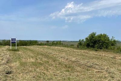 Spațiu comercial, în Comana - 3