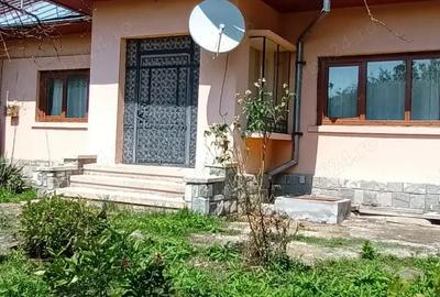 Casă cu 3 camere cu Teren 3200 Mp în Mislea - 10