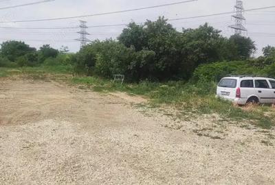 Hala noua Bragadiru 290 mp - 3