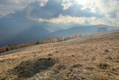 Teren de 6131 mp, în Rășinari - 4