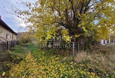 Teren intravilan, 4967 mp, utilita?i, sat Rasova, Bale? - 8