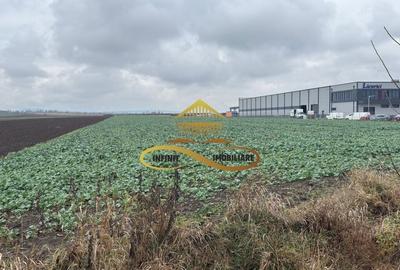 Teren industrial de vanzare in Bacau zona RAR - 2