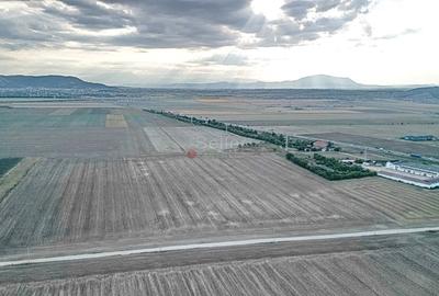 Teren Destinatie Industriala - 6