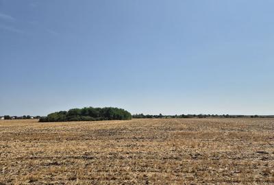 Teren de 4428 mp, în Balotești - 2