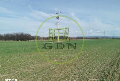 Teren de 21496 mp, în Saca - 9