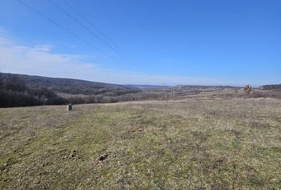 Teren de 10600 mp, în Hidiș - 7