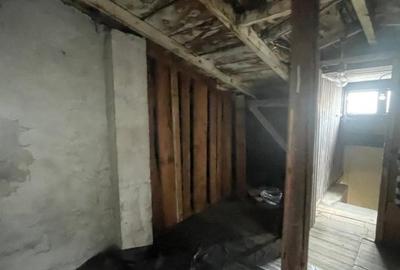 Villa Interblica - Parcul Carol Villa Interblica - Parcul Carol - 40