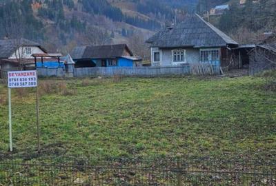 Casă cu 2 camere în Pârâul Pântei - 7