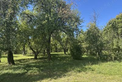 Vand casa cu teren intravilan - 1