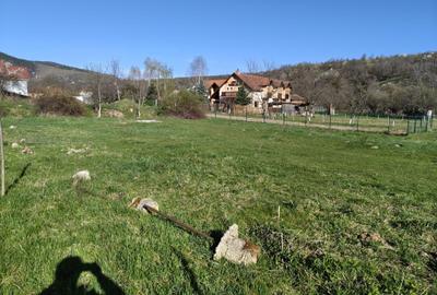 Spațiu comercial, în Sibiel - 5