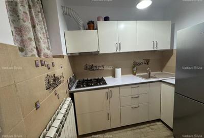 Apartament cu 2 camere nedecomandat, mobilat în Unirii - 5