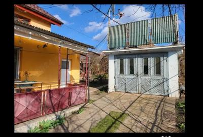 Casă cu 3 camere în Zau de Câmpie - 6