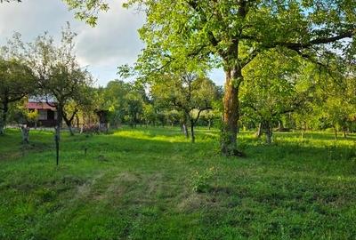 Teren intravilan de 2500 mp, în Breaza de Jos - 1