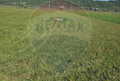 Teren de 1780 mp, în Bocicoiu Mare - 4