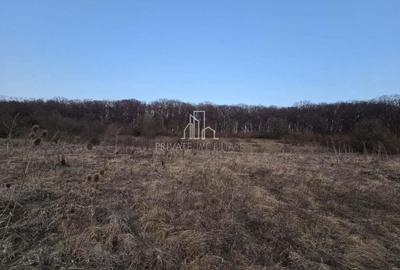 Teren extravilan 28.800 Mp , zona Rora, Sighisoara - 4