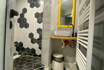 Cismigiu-Mircea Vulcanescu Cismigiu-Mircea Vulcanescu - 6