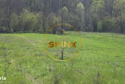 Spațiu comercial, în Furești - 1