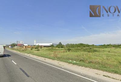 Teren 23.600 mp | Chitila - Centura Bucuresti | 0% Comision - 6