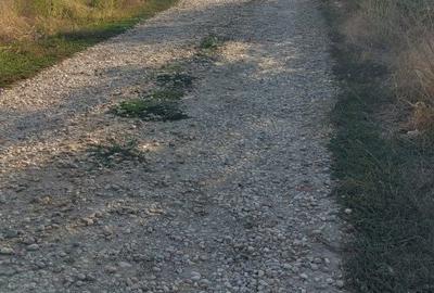 Teren de 5000 mp, în Vârteju - 2
