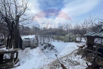 Casa /3 camere Calimanesti Casa /3 camere Calimanesti - 8