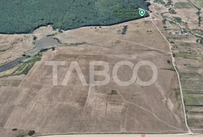 Teren extravilan arabil 5950 mp Selimbar - zona Sopa - 2