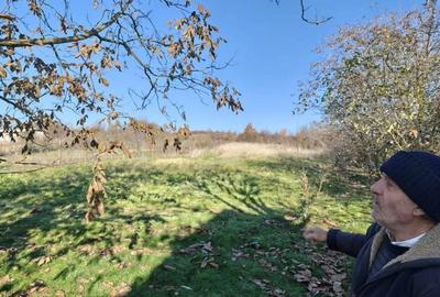 Casă cu 3 camere în Tăgădău - 5