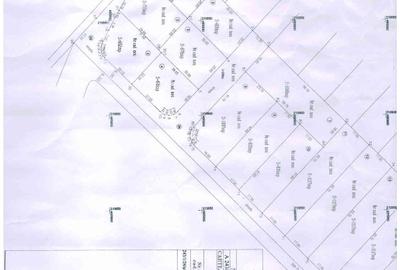 Vând teren construcții, la 8 km de centrul Timișoarei, in Dumbrăvița - 2