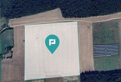 13ha de teren compact Ianova-Bencec - 2