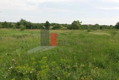 Teren Buftea cu iesire la lac - 15