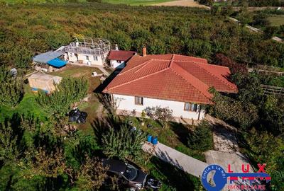 Teren de 44999 mp, în Sabangia - 15