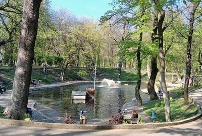 Apartament cu 3 camere semidecomandat în Banu Manta - 15