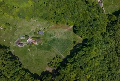 Teren de 5310 mp, în Colonia 1 Mai - 8