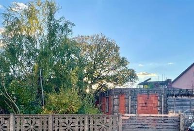 Vanzare teren Damaroaia Vanzare teren Damaroaia - 1