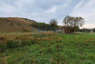 Teren plan 4800 mp cu casa demolabila, centru Corpadea, Apahida - 10