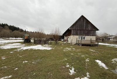 Teren agricol extravilan de 3600 mp, în Horodnic de Sus - 4