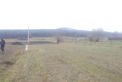 Teren de 2700 mp, în Rășinari - 1