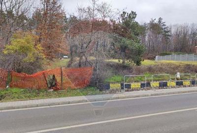 Oportunitate investi?ie B. Felix teren intravilan cu PUZ 1157 mp DN 76 - 1