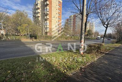 Apartament cu 2 camere decomandat, mobilat în Plopilor - 22