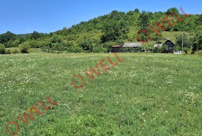 De vânzare teren intravilan de 7600 m² în Sovata, pe strada Alunei (Mogyoró). - 4