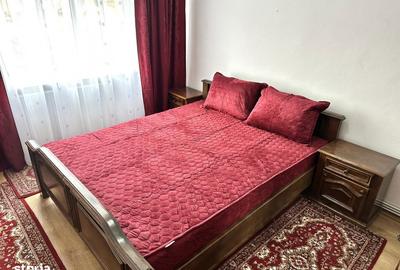 Apartament cu 2 camere decomandat, mobilat în Cetate - 12