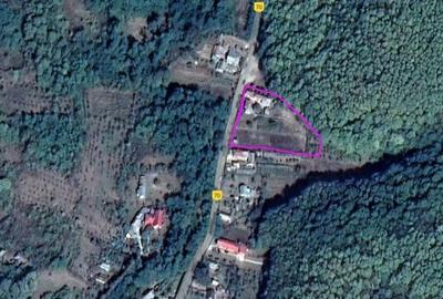 Casă cu Teren 3845 Mp în Leordeni - 1