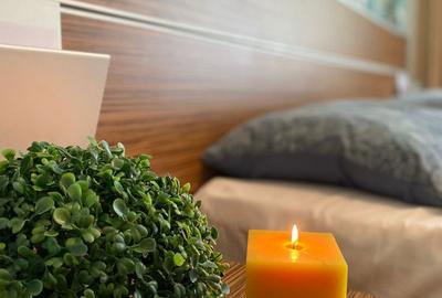 Apartament cu 3 camere semidecomandat în Ultracentral - 2