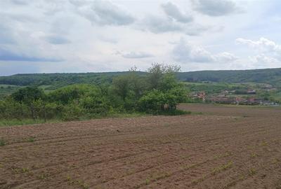 Teren intravilan de 500 mp, în Hidișelu de Jos - 2