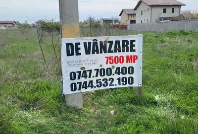 Teren intravilan Ciorogarla - 2