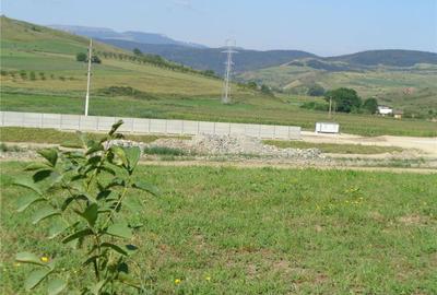 Teren de 5500 mp, în Stejeriș - 9