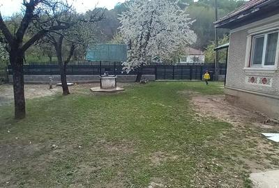Casă cu Teren 1052 Mp în Bălteni - 1